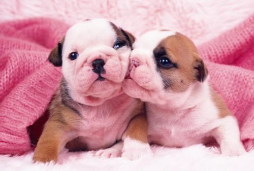 ޵ǵ1 ڹ˹Ǻ˵վݹرա